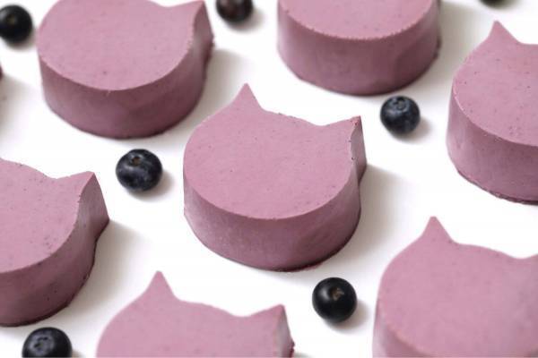 ねこねこチーズケーキ新作、甘酸っぱいブルーベリー×ヨーグルトの「にゃんチー ブルーベリー」