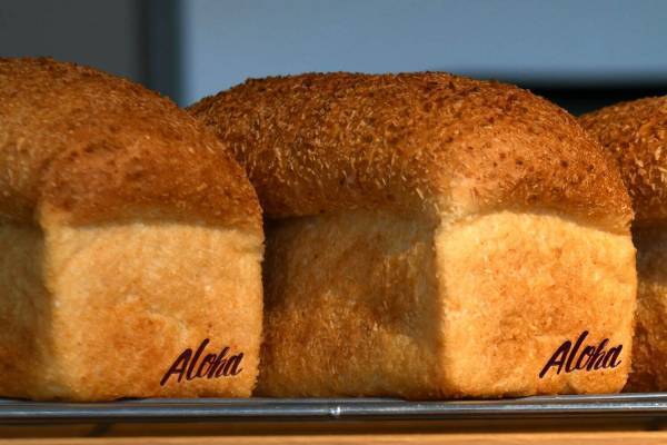 七⾥ガ浜のハワイアンベーカリー「パシフィック ベーカリー」新作メープルナッツのマリトッツォなど