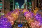 「大阪・光の饗宴2021」約4kmの“光の道”御堂筋イルミネーション＆OSAKA光のルネサンス
