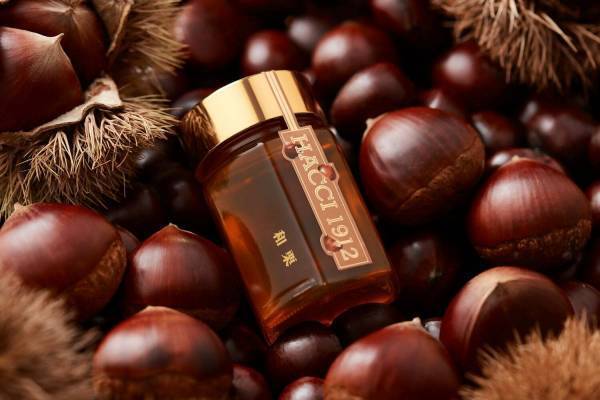 HACCI“国産和栗”の秋限定はちみつ、キャラメルのような香ばしい味わい