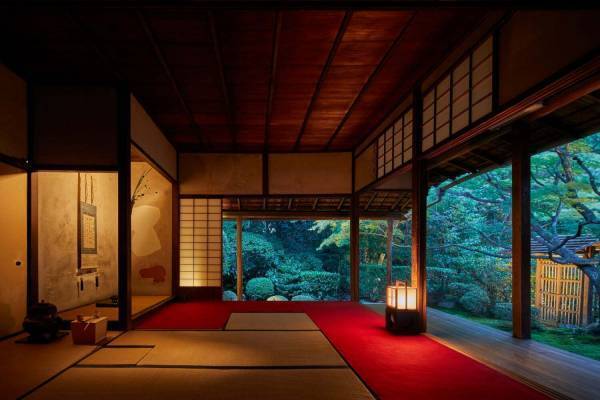 妙心寺桂春院の夜間拝観、名勝庭園の紅葉ライトアップや書院でのお茶席体験