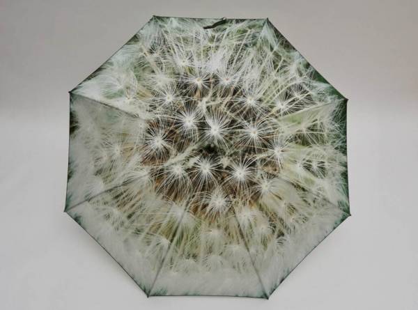 コシラエルの22年新作傘“タンポポの綿毛”やカラフル野菜柄、晴雨兼用で