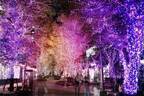 日比谷“魔法のようなグラデカラー”イルミネーション2021、東京ミッドタウン日比谷にクリスマスツリー