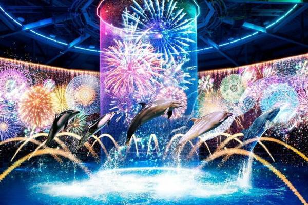 閉館後の水族館で「品川花火まつり」イルカと楽しむ“盆踊り”や縁日がマクセル アクアパーク品川に