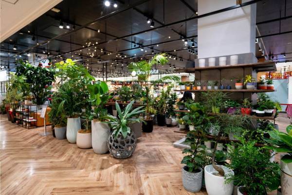 バロックジャパンリミテッド“緑＆食”の新業態「シェルター グリーン/デリ」アリオ川口に1号店