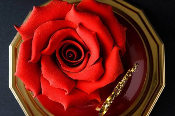 ハイアットリージェンシー横浜のクリスマスケーキ、薔薇のチョコ細工を飾った「ノエル・ショコラローズ」