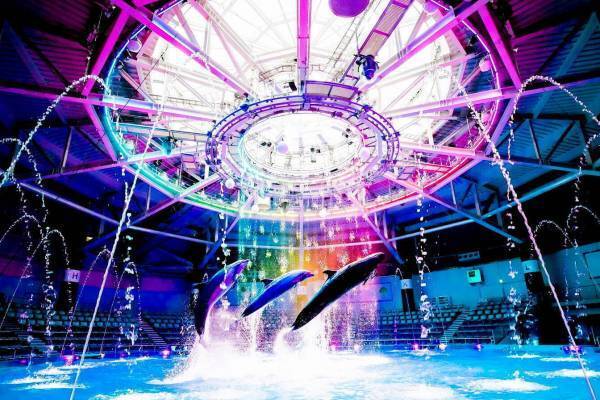 マクセル アクアパーク品川のハロウィンイベント、噴水×水中照明を駆使した没入型イルカショーなど