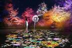 “花”を五感で楽しむ体験型デジタルアート「ネイキッド フラワーズ」高知城で、中四国初上陸