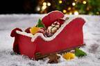 ザ・リッツ・カールトン大阪のクリスマス2021年、“サンタのそり”を表現したチョコケーキなど