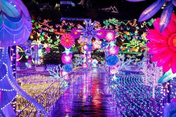 体験型イルミネーション「伊豆高原グランイルミ」静岡・伊豆ぐらんぱる公園で、“光の上”を歩く新エリア