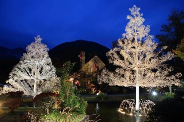 “15万粒のクリスタルガラス”クリスマスツリーが箱根ガラスの森美術館に、ライトアップも