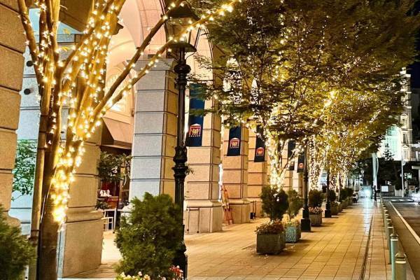 「大丸神戸店旧居留地イルミネーション」明石町筋沿いの街路樹を約40,000球の電球でイルミネート