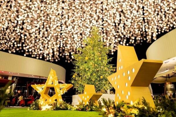 横浜ベイクォーターのクリスマスイルミネーション「ほしくずの森」3万球超が輝く“ほしくずのカーテン”
