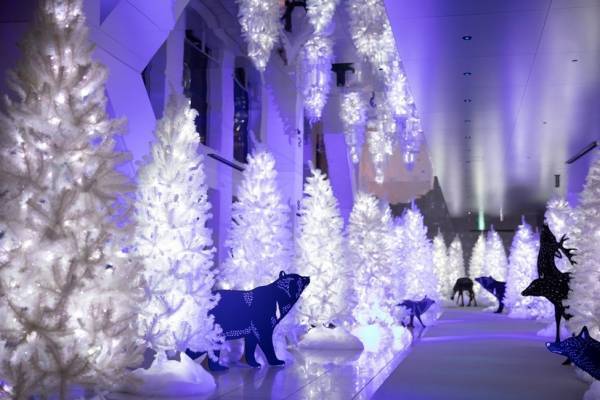 梅田スカイビル・空中庭園のクリスマスイベント、"天空の森"イルミネーションや星空グランピング