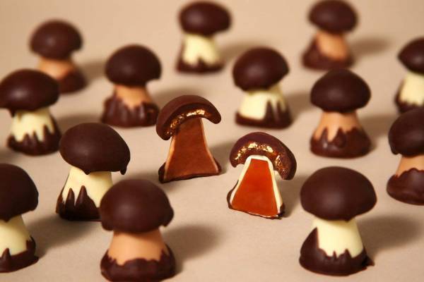 仏名門ショコラ「クルイゼル」2022年バレンタイン、きのこチョコや“じゃがいもそっくり”一口チョコ