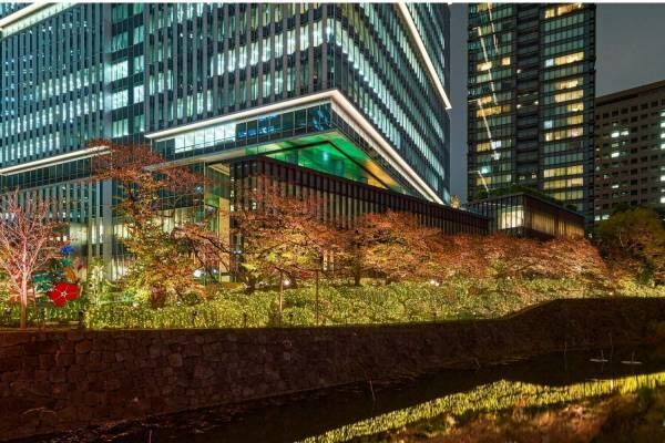 東京ガーデンテラス紀尾井町のゴールドイルミネーション2021、10ｍの巨大ツリーも