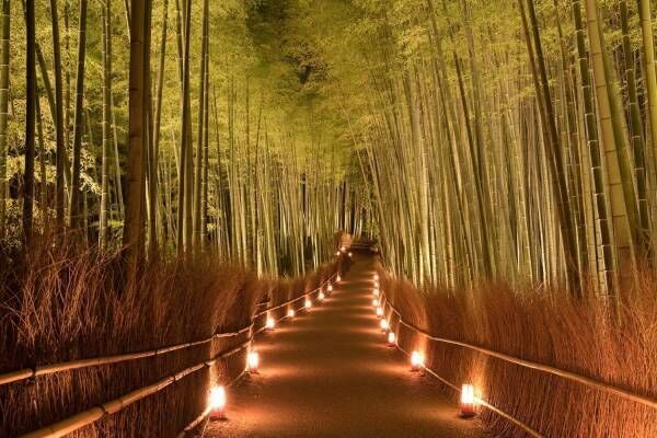 「京都・嵐山花灯路-2021」“最後の開催”、渡月橋や竹林の小径のライトアップ