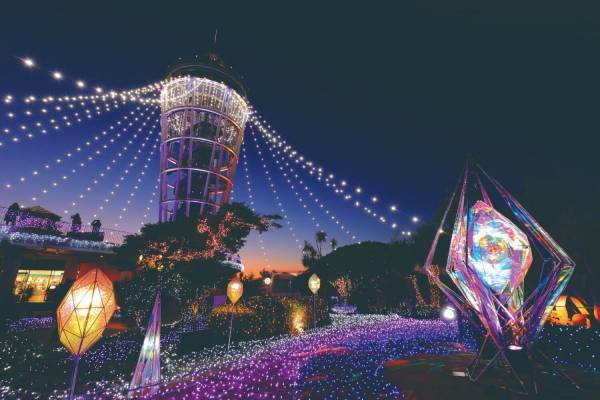 江の島イルミネーション「湘南の宝石」絶景展望台ライトアップや輝くシャンデリアのトンネルなど