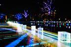 「品川シーズンテラス イルミネーション2021」東京タワーなど都会の夜景をバックに楽しむ光の演出
