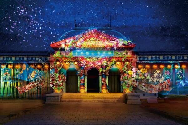 京都国立博物館で「光と食のアンサンブル2022春」ネイキッドによる光のデジタルアートと京の味覚
