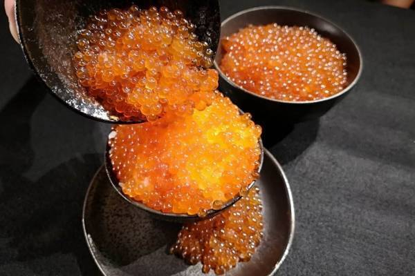 「魚ジャパンフェス」海鮮丼や鍋“全国のご当地”魚介グルメ、東京・代々木公園に集結