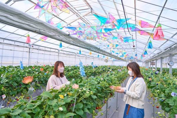 京成バラ園の新いちご狩り施設、“オズの魔法使い”着想の温室で採れたて苺をドリンクと共に