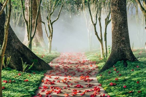 ホテル椿山荘東京「椿絵巻〜東京椿インスタレーション・アート〜」椿の花が彩る絶景を堪能