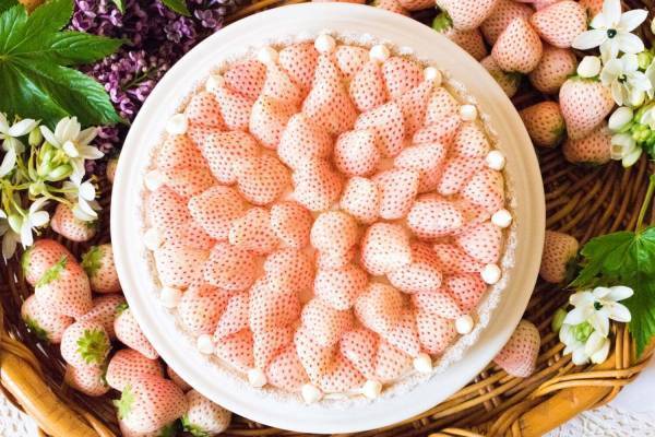 キル フェ ボンに“ブランド苺”のタルトが集結 - 白イチゴや紅ほっぺ、甘みの強い“くろいちご”も