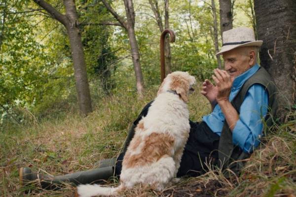 ドキュメンタリー映画『白いトリュフの宿る森』白トリュフを探す“妖精のようなおじいさん”たち