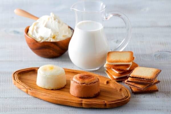 「白い恋人 ミルクチョコレートオムレット」限定発売、北海道銘菓のイシヤ×スナッフルスがコラボ