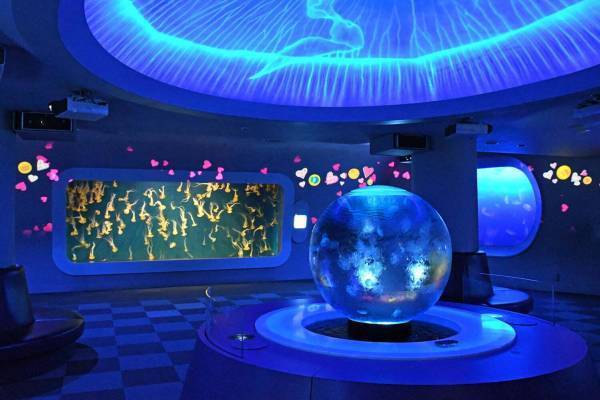新江ノ島水族館のバレンタイン限定イベント「恋する“えのすい”」クラゲ水槽で“ハート”の映像演出
