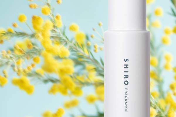 SHIRO「ミモザ」の限定フレグランスが22年春に再登場、"ツヤ髪に導く”ヘアケアも