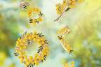 ヴァンドームブティック“ミモザの花＆ハチ”の春色アクセサリー、リース風ブローチなど