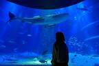 大阪・海遊館“閉店後の水族館”で夜イベント、静寂な海の世界をゆったり体感