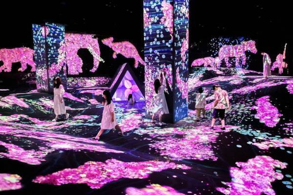 福岡「チームラボフォレスト」桜の花でできた“生きる”動物、春の色彩の群蝶など春季限定の作品を公開