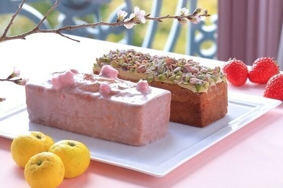 京都・長楽館から春限定パウンドケーキ、柚子香る「桜」と苺ジャム入り「ピスタチオ」の2種で