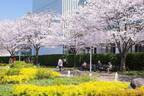 東京ミッドタウンの春イベント「ミッドタウン ブロッサム」花々が咲く屋外ラウンジやフラワーショップ