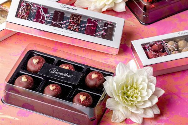 サマーバード オーガニックのホワイトデー、エスプレッソ風のふわとろチョコ「クリームキス」など