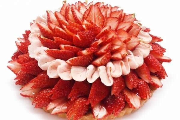 カフェコムサ“満開のさくら＆葉桜”イメージの限定ケーキ、苺×桜あんクリームや抹茶ムース