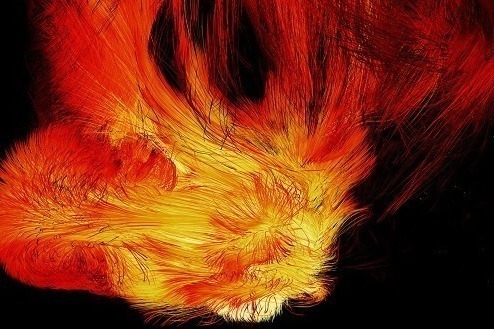 青森県立美術館“春の芽生え”がテーマの企画展、チームラボのデジタルアート＆青森全土の巨大ジオラマ