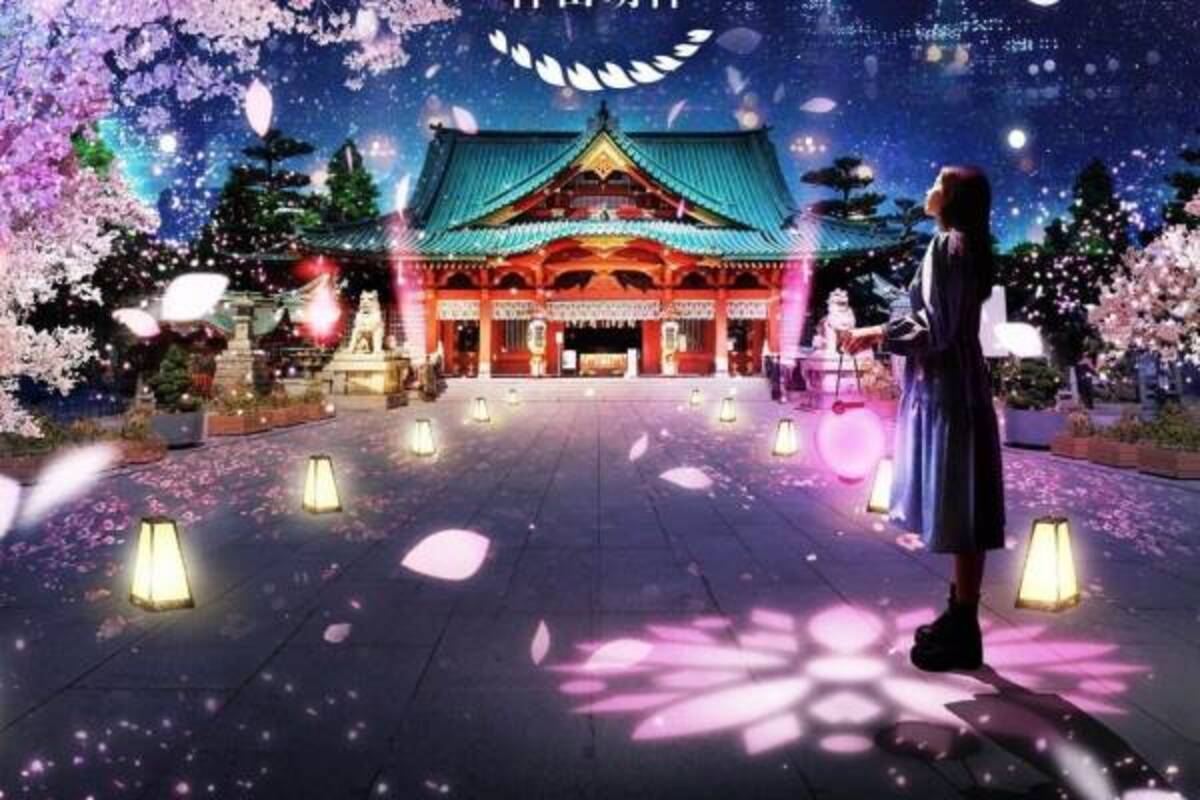 夜桜ライトアップ ネイキッド桜モウデ 東京 神田明神で 行灯や照明で彩る幻想的な境内 22年3月14日 ウーマンエキサイト