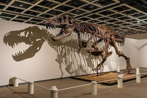 「ジュラシック大恐竜展inよみうりランド」“動き、ほえる”恐竜ロボット＆ティラノサウルスの全身骨格