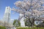 「ガーデンネックレス横浜2022」“花と街歩き”山下公園・港の見える丘公園に桜並木やチューリップ