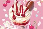 ホテルショコラの春限定「桜と桜んぼのサンデー」カカオアイスクリームに桜あんやさくらんぼソースを重ねて