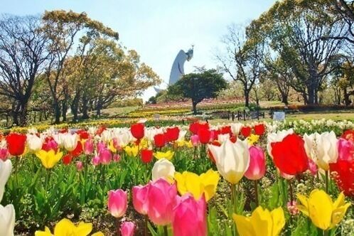 「チューリップフェスタ＆ポピーフェア」大阪・万博記念公園で春のフラワーイベント