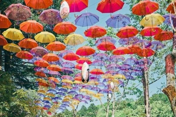 ムーミンバレーパークで“約1,200本”カラフル傘が広がるイベント「ムーミン谷とアンブレラ」