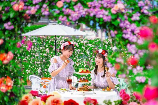 ハウステンボス“100万本のバラ&1,250品種のあじさい”咲く初夏イベント、夜はイルミネーションも