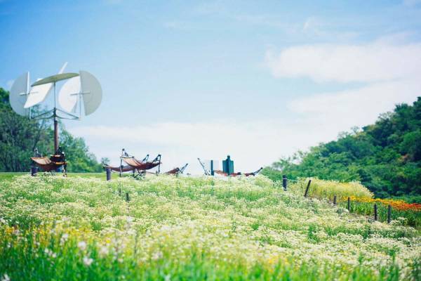 “カモミールの花”広がる「春の収穫祭」神戸布引ハーブ園／ロープウェイで、花摘み体験＆ハーブの花束作り