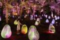 夜の常設展「チームラボ ボタニカルガーデン 大阪」長居植物園で、人と自然が作品の一部になるアート空間
