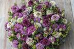 ニコライ・バーグマンの展覧会が熊本で、約2,000本の“熊本の花”を使ったフラワーデザイン